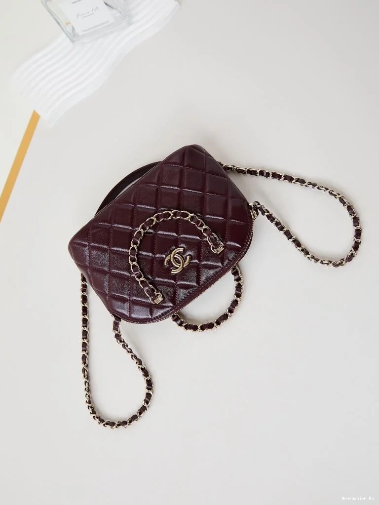 53907 Other EyeCatching Chanel Stachel Bags 0627